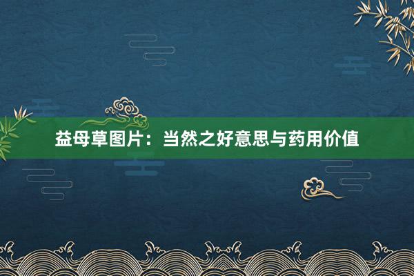 益母草图片：当然之好意思与药用价值